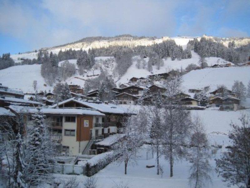 Hotel Almrausch ザールバッハ・ヒンターグレム エクステリア 写真